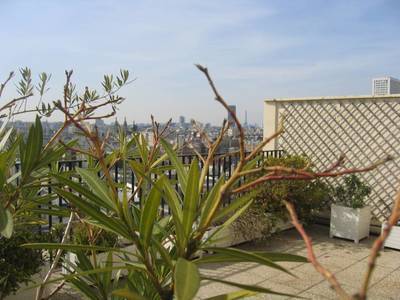 annonce emploi particulier