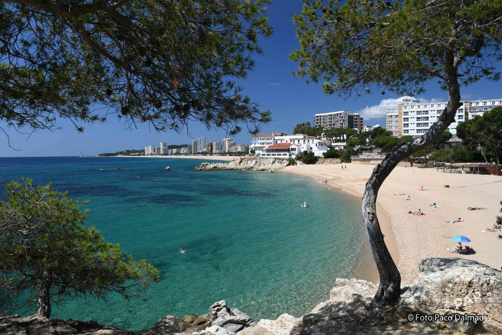 Location Appartement Platja de aro 4 personnes - Ref: 208910856 ...
