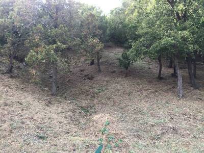 Roquebrune-Sur-Argens (83)