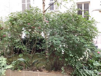 Levallois-Perret (92300)