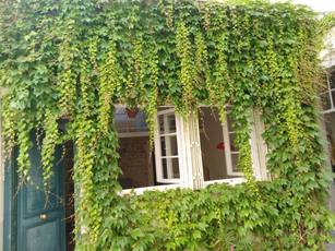 Paris 5E