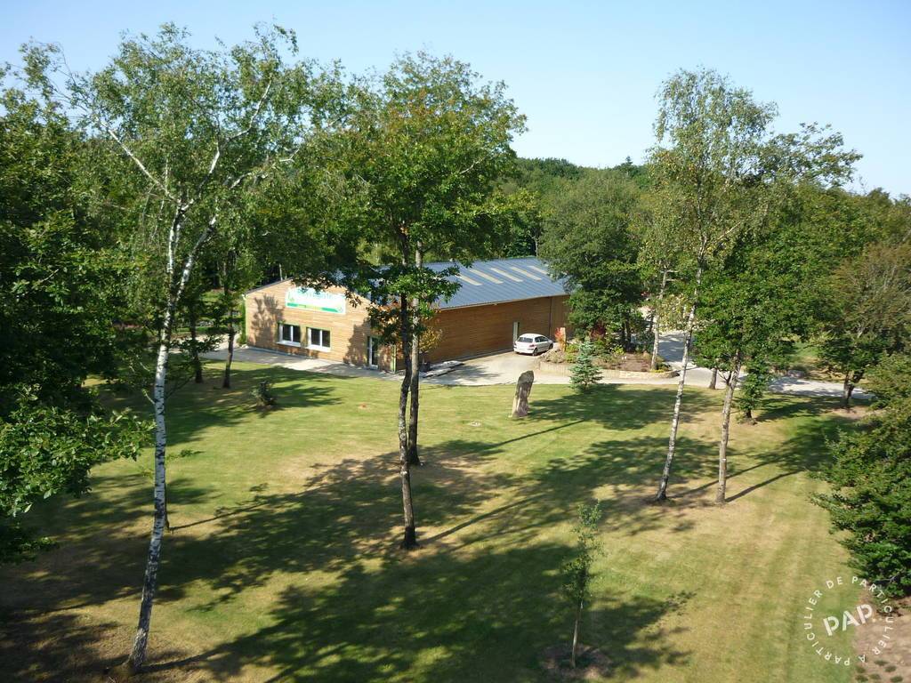 Vente et location Local d'activité Noyal-Muzillac (56190) 525 m² 280.000 €
