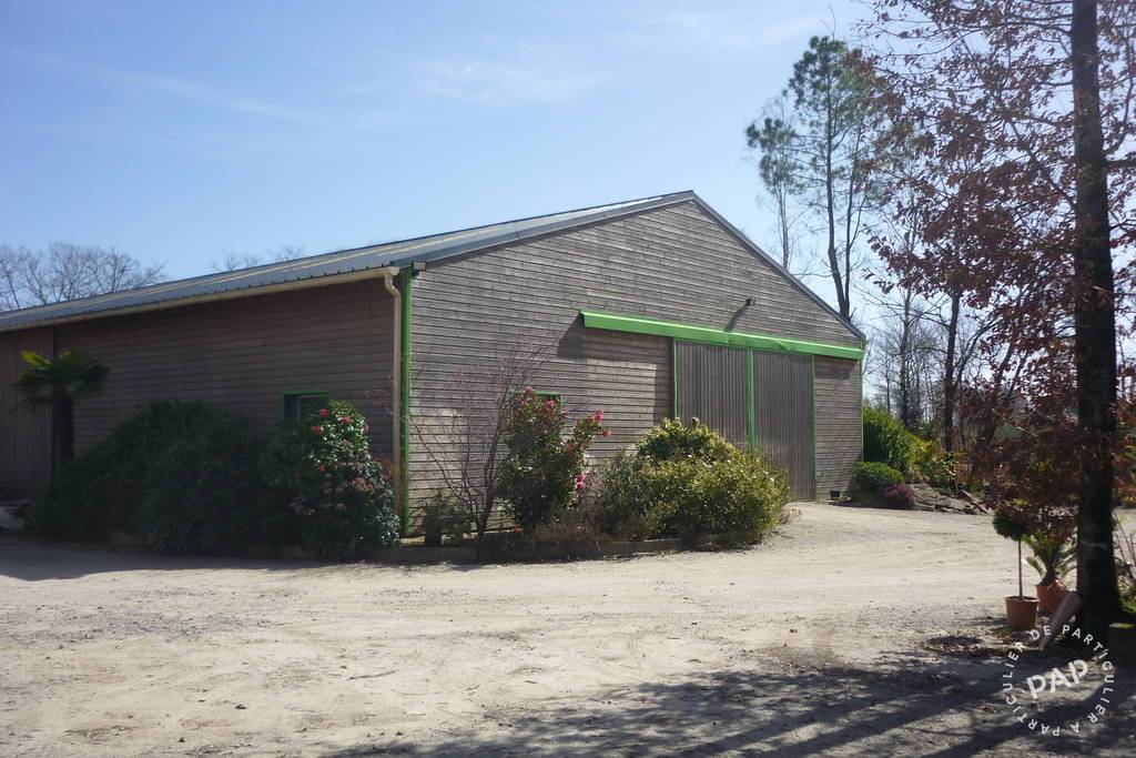 Vente et location Local d'activité Noyal-Muzillac (56190)