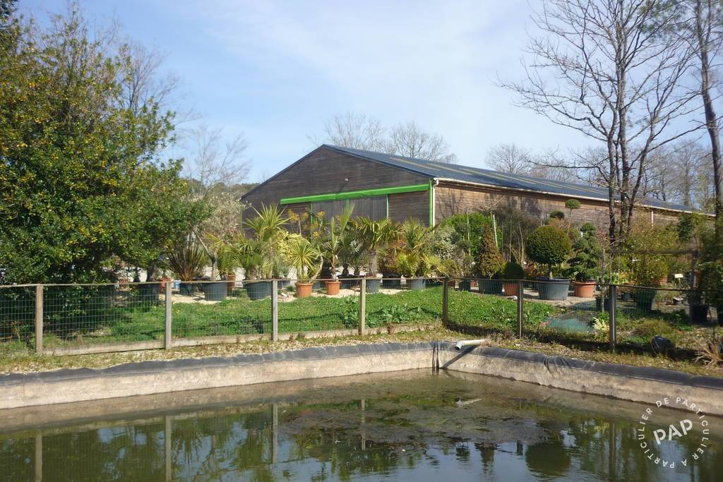 Vente et location Local d'activité
