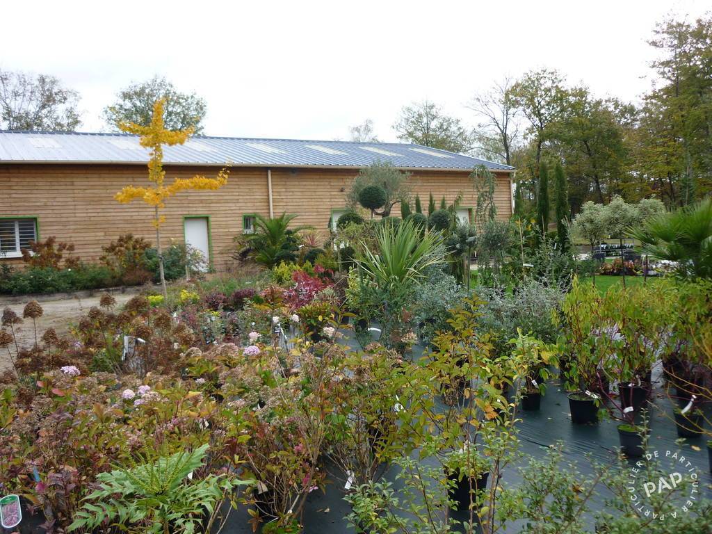 Vente et location immobilier 280.000 € Noyal-Muzillac (56190)