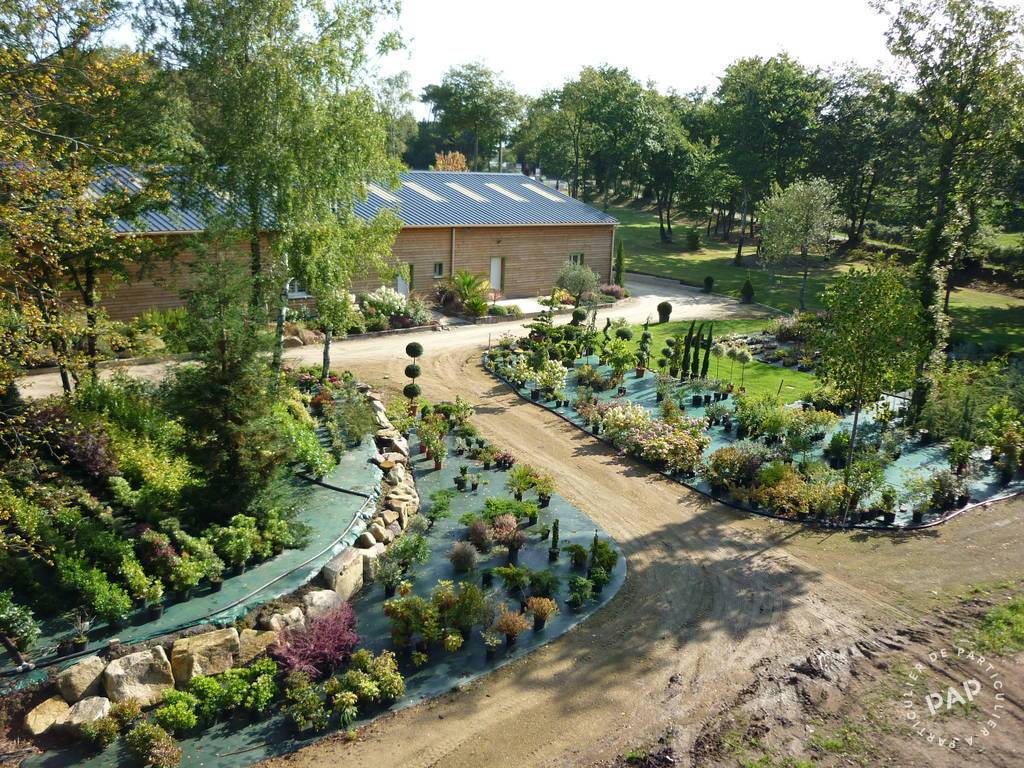 Local d'activité 280.000 € 525 m² Noyal-Muzillac (56190)