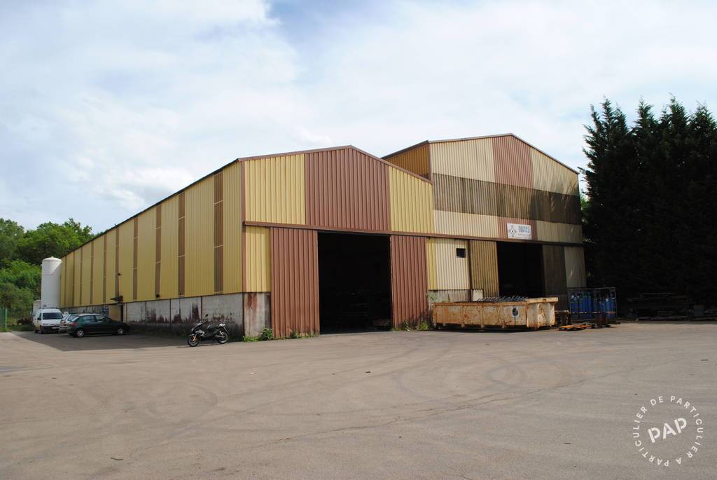 Vente et location Local d'activité Saint-Sauveur-En-Puisaye (89520) 1.620 m² 169.000 €