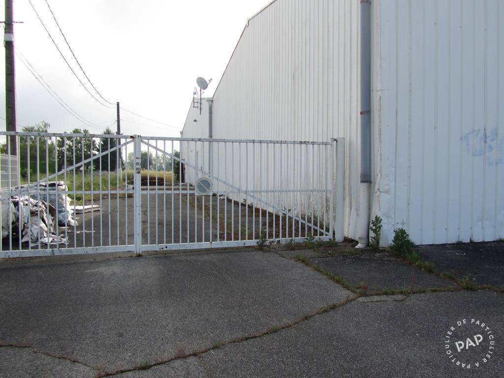Vente et location Rabastens (81800) 1.800 m²