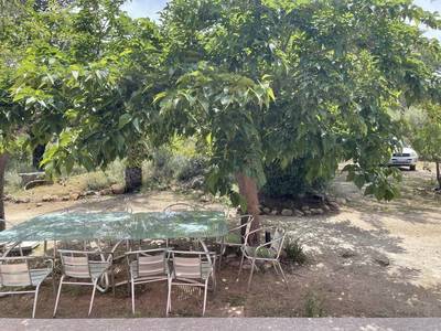 Calvi