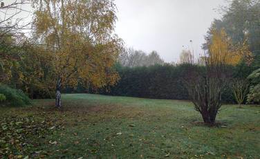 Bazoches-Sur-Guyonne