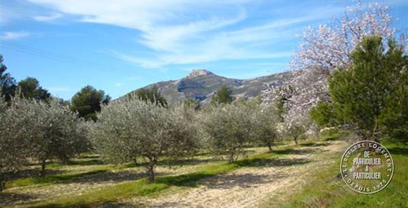 Vente maison 8 pièces Cuges-les-Pins (13780)