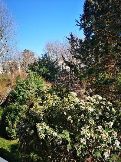 Neuilly-Sur-Seine (92200)