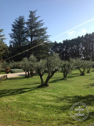 Vente et location Fonds de commerce 1.500 m²