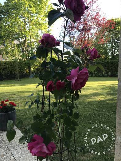 Vente appartement 4 pièces Deauville (14800)