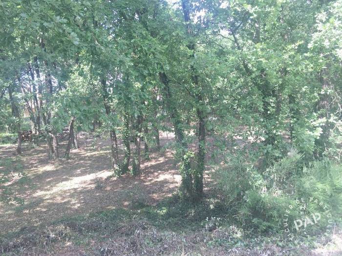 Vente et location Local d'activité 100 m²