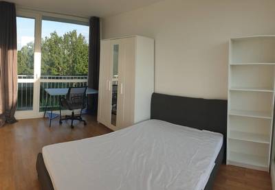 Cergy (95)