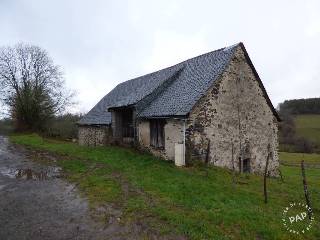 Vente maison studio Anglards-de-Salers (15380)