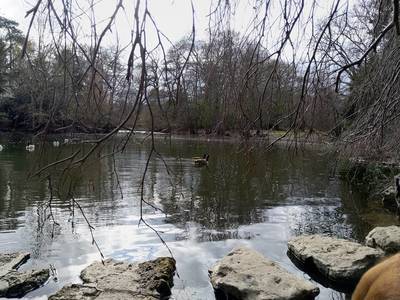 Boulogne-Billancourt (92100)