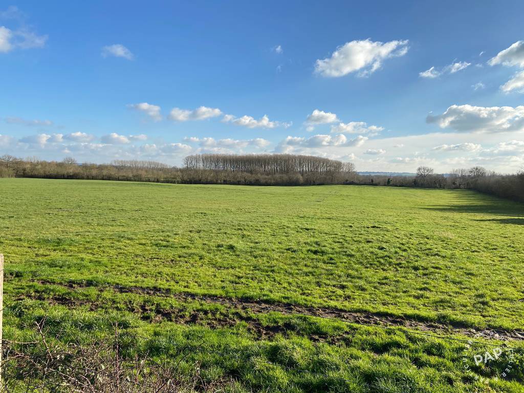 Vente maison 5 pièces Ancenis (44150)
