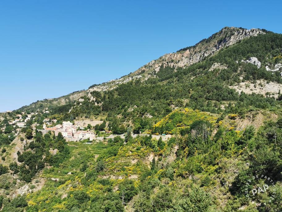 Vente maison 2 pièces Toudon (06830)