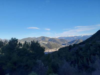 Nice (06300)