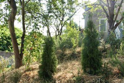 Montreuil (93100)