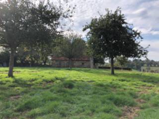 Subligny (50870)