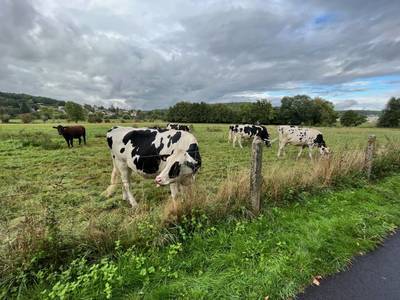 (89M² Au Sol/49 M²Carrez) Saint-Rémy-Lès-Chevreuse