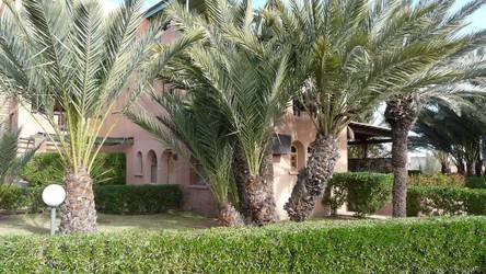 Marrakech