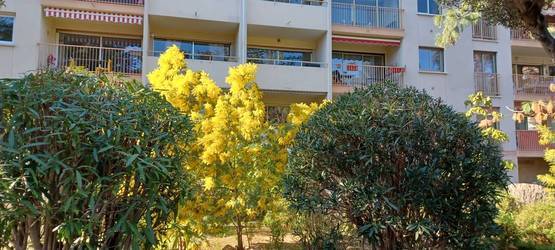 Fréjus (83600)