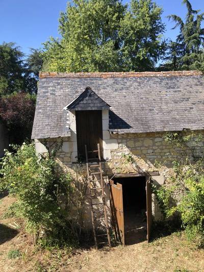 Nouâtre (37800)