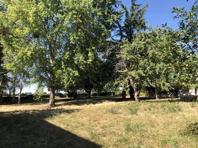 Nouâtre (37800)