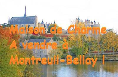 Montreuil-Bellay (49260)