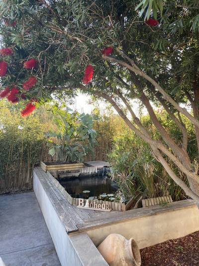 Agde (34300)