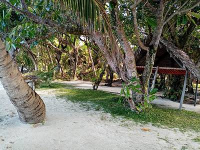 Madagascar