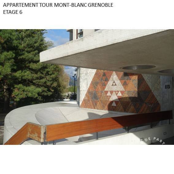 Appartement Grenoble (38000) 270.000&nbsp;&euro;