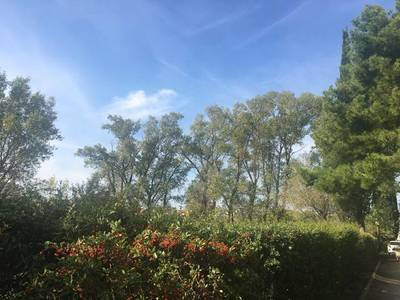 Fréjus (83600)