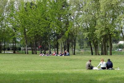 Cergy (95000)