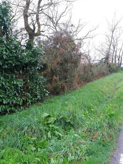 Saint-Jacut-Les-Pins (56220)
