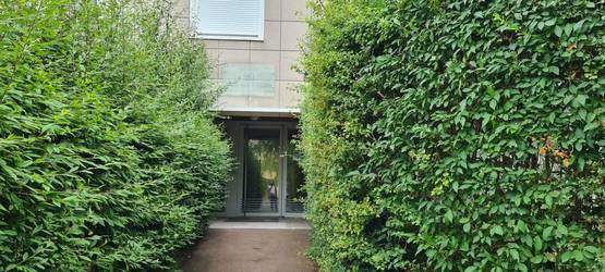 Cergy (95000)