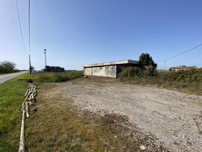 Pauillac (33250)