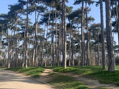 Neuilly-Sur-Seine (92200)