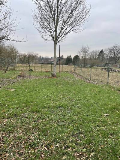 Cambrai (59400)