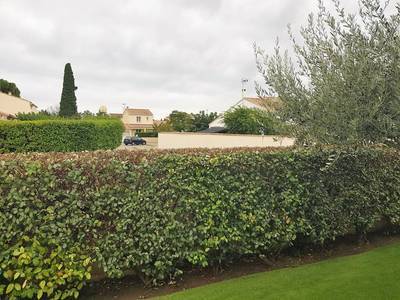 Pignan (34570)