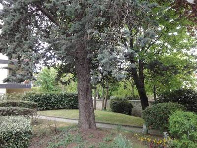 Chatou (78400)