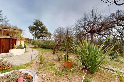 Vidauban (83550)