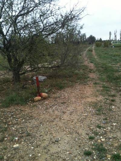 Saint-Hippolyte (66510)