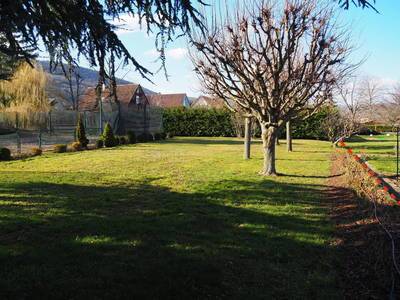 Bergholtz (68500)