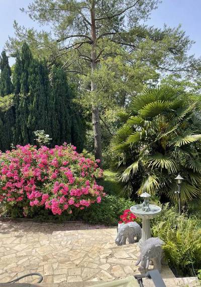 Mary-Sur-Marne (77440)